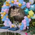 Open Ground Baby Shower Decoration Package