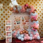 Premium Baby Shower Balloon Backdrop Decoration