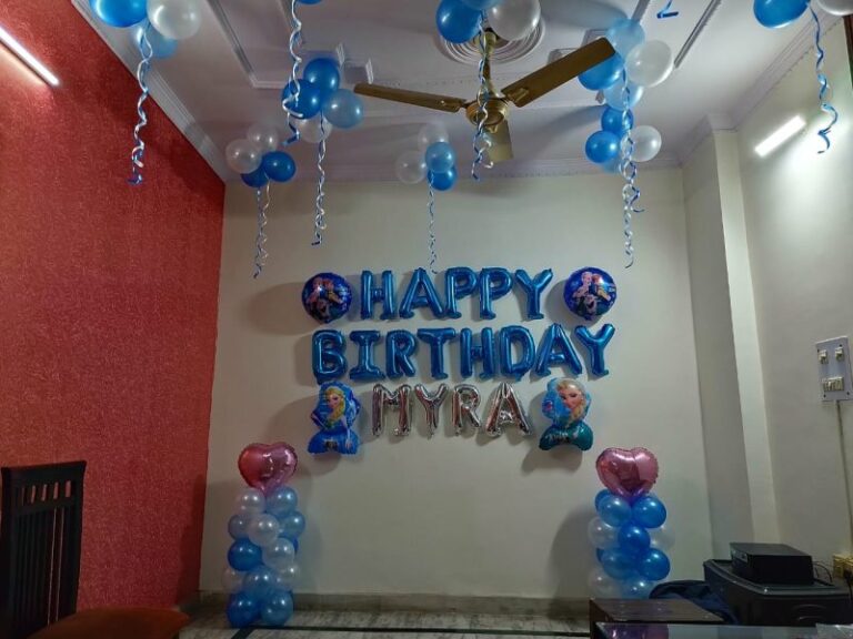 Frozen Theme Birthday Decoration
