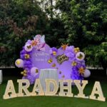Butterfly Theme Birthday Decoration